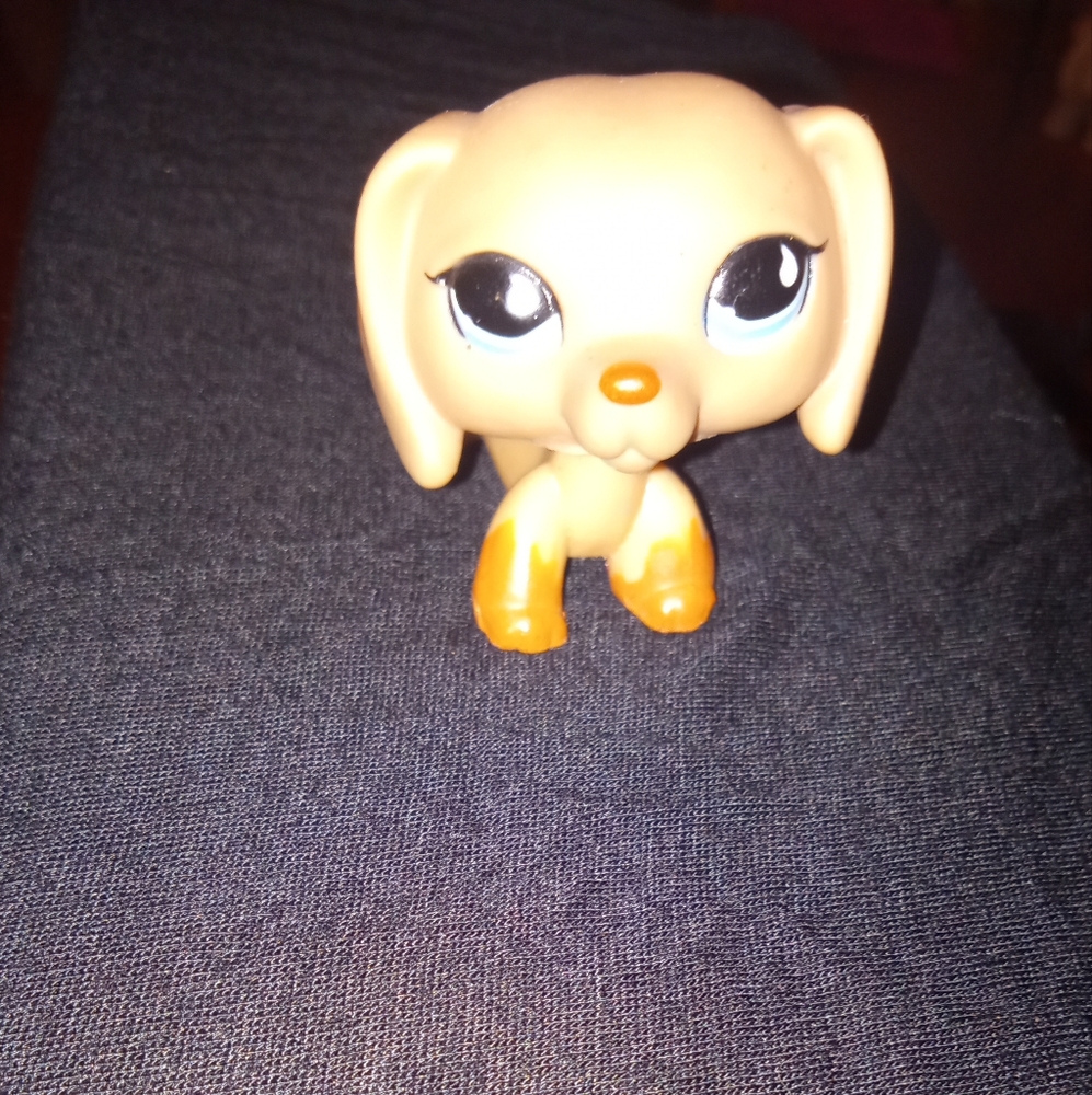Rare LPS #518 Brown Tan Blue Eyes Dachshund Puppy Dog
